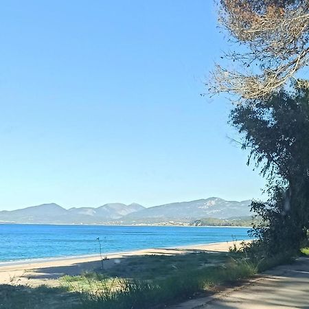 Agathi'S House Διαμέρισμα Μύτικας Εξωτερικό φωτογραφία