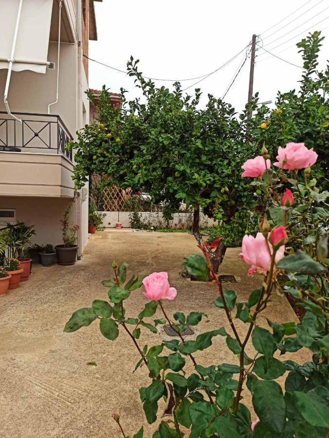 Agathi'S House Διαμέρισμα Μύτικας Εξωτερικό φωτογραφία