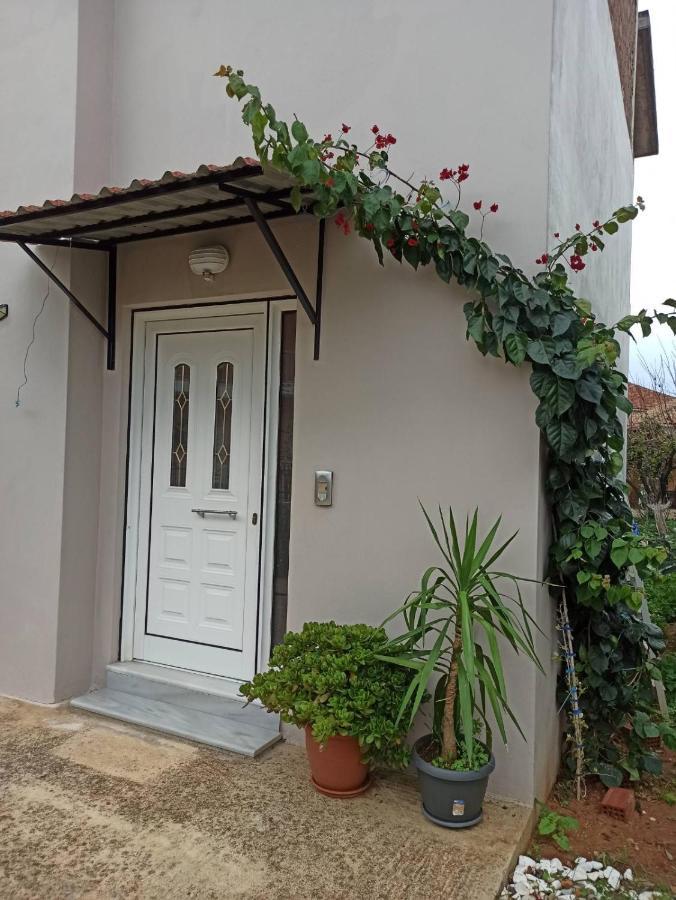 Agathi'S House Διαμέρισμα Μύτικας Εξωτερικό φωτογραφία