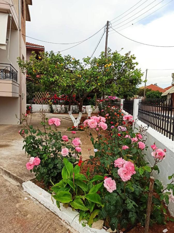 Agathi'S House Διαμέρισμα Μύτικας Εξωτερικό φωτογραφία